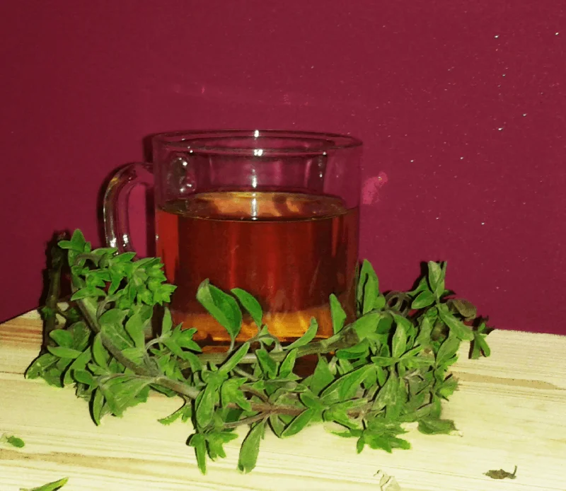 Marjoram Infusion