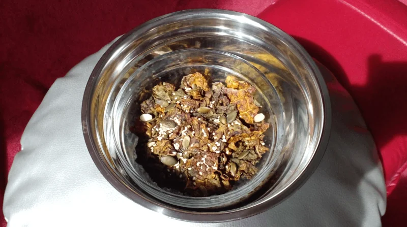 Roasted Kale Snack